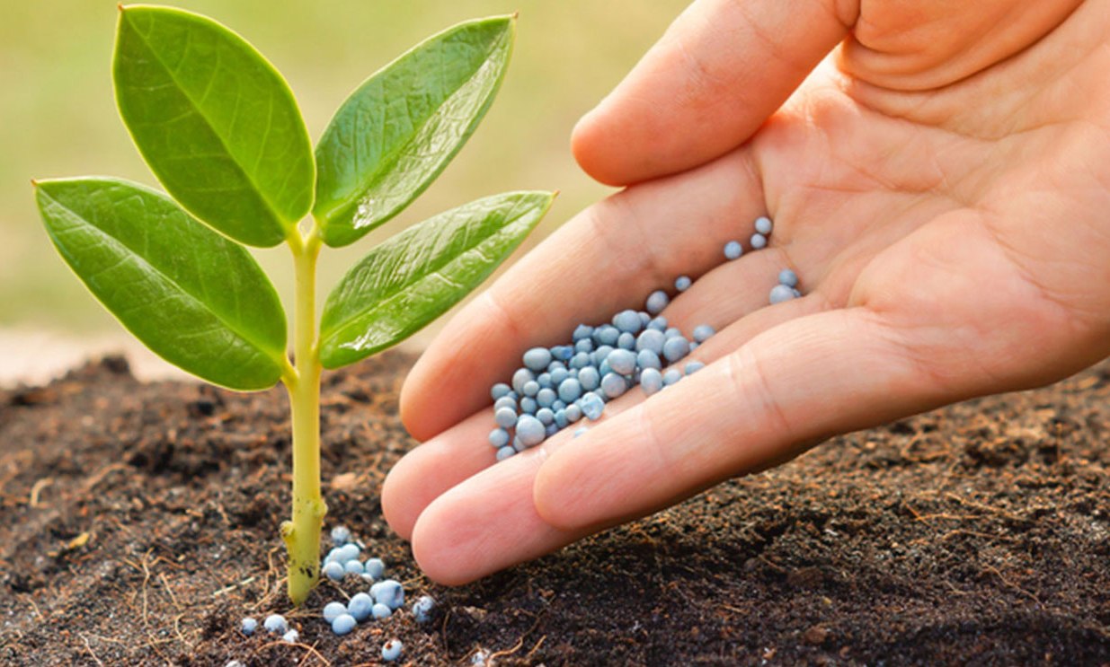 Cельхозхимия Cельхозхимия